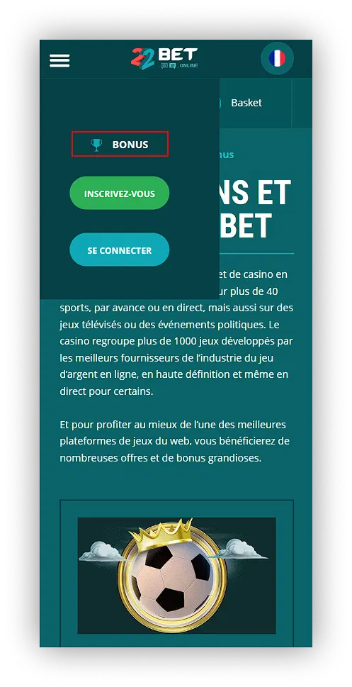 section bonus 22bet