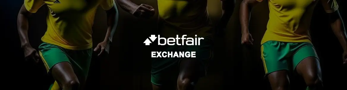 image principale de l'article betfair-exchange