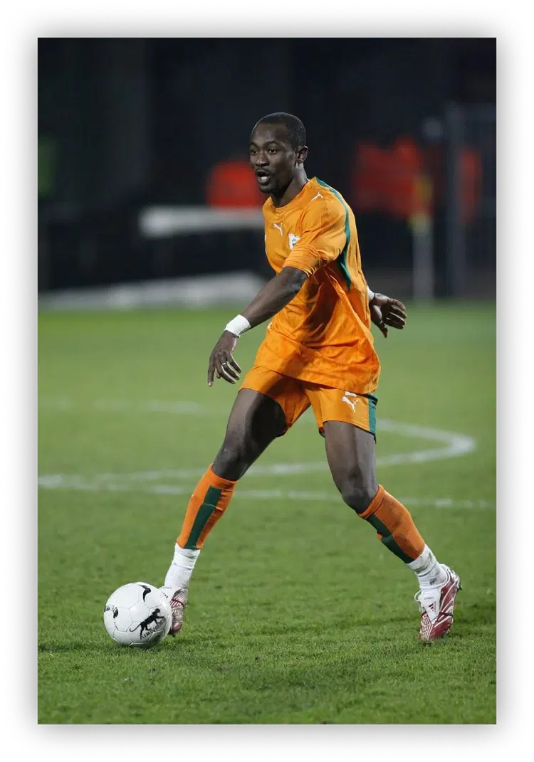 Didier Zokora