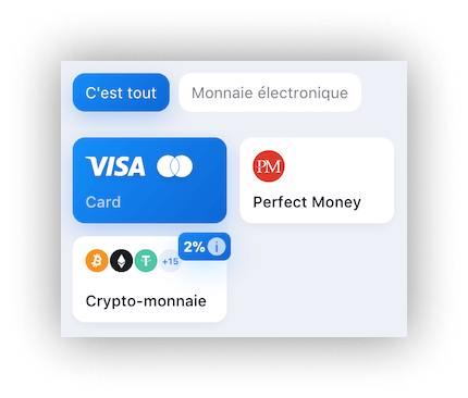  l’icon avec logo du système de paiement 