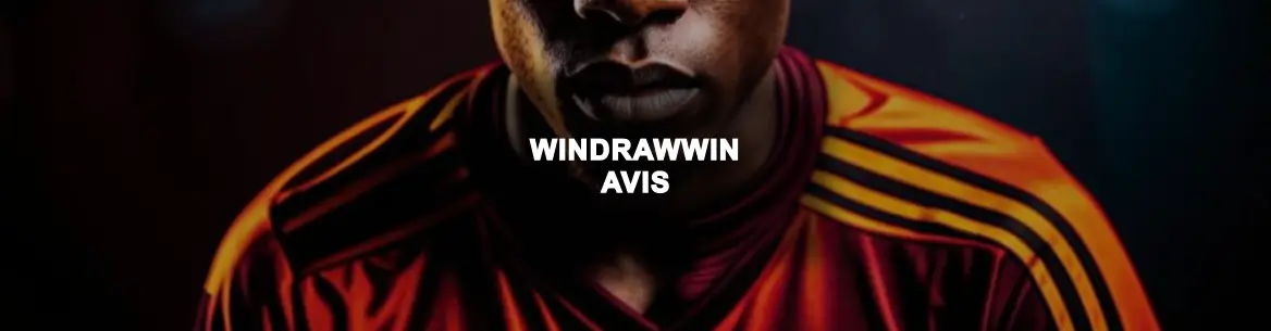 image principale de l'article windrawwin-avis