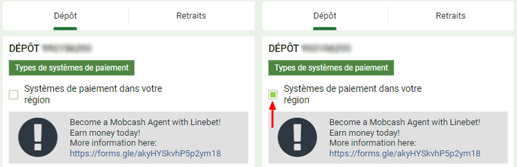 Consentement à l'affichage des systèmes de paiement locaux